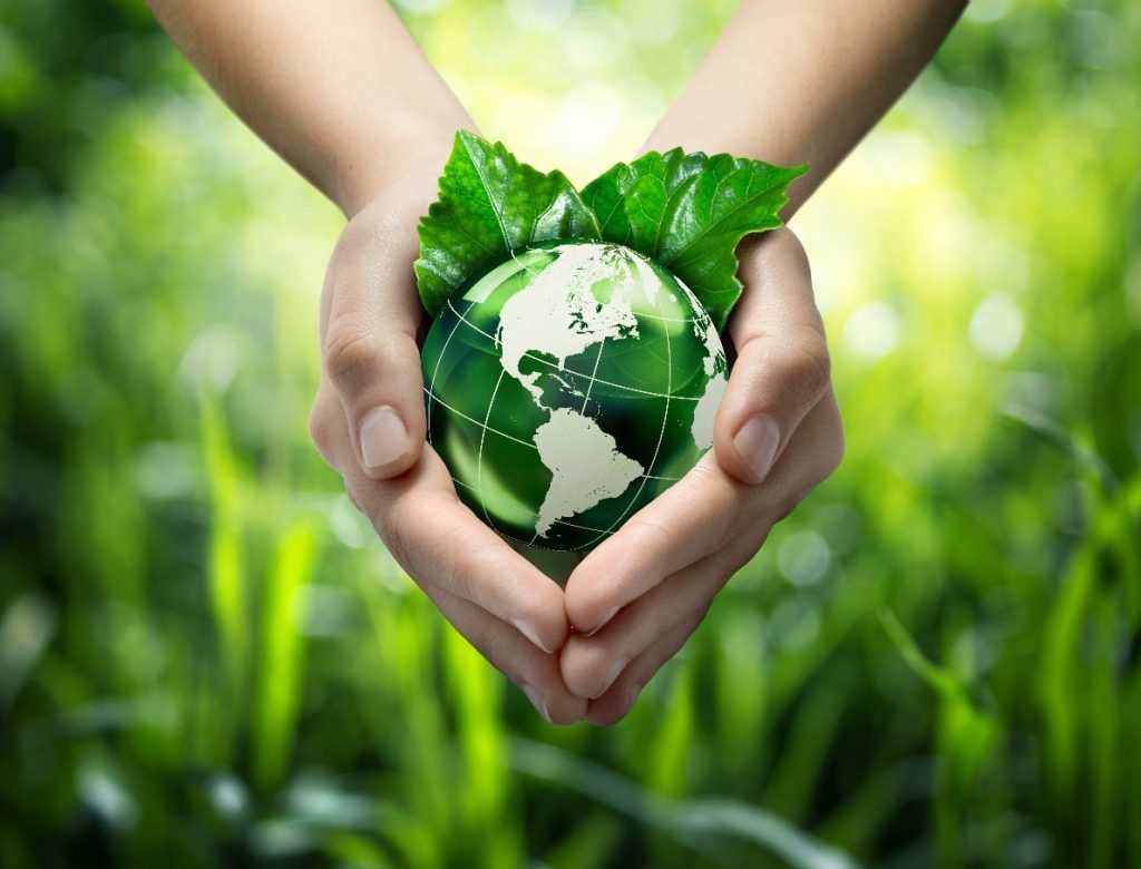 A pair of hands holding a green globe